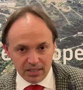 Domenico D'Urso